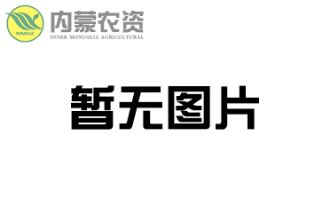 标题：内蒙农资携手雅冉进军内蒙古 施用新型有机肥增加西红柿产量
浏览次数：19976
发表时间：2018-05-11